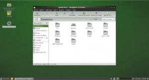 OpenSuse_11-2_Gnome