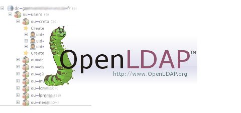 openldap OpenLDAP : Augmenter la verbosité des logs