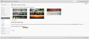 WordPress 3 page10 header 300x133 Aperçu des fonctionnalités, Installation et test de Wordpress 3.0 beta 2