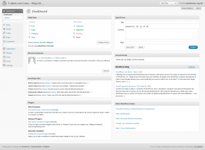 WordPress 3 page7 interface admin 300x220 Aperçu des fonctionnalités, Installation et test de Wordpress 3.0 beta 2