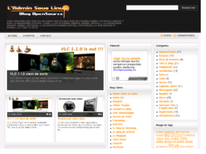 screenshot du blog en 2010